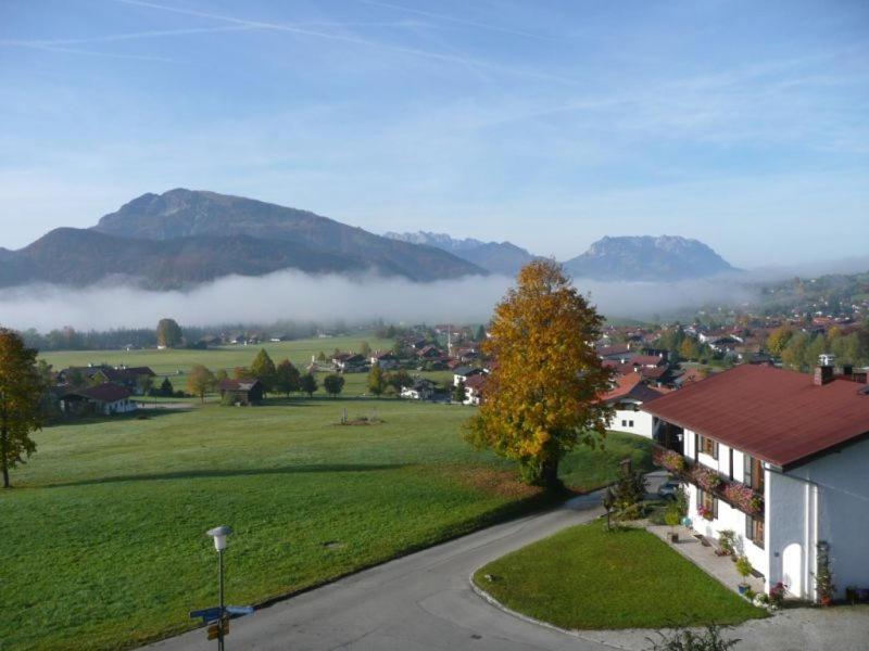 Haus Elfriede Hotell Reit im Winkl Exteriör bild